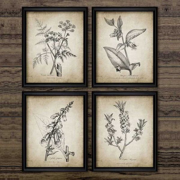 Antique Plants Retro Posters and Printed Wall Images Plants Retro Wall Art Canvas Home Decoration W241109