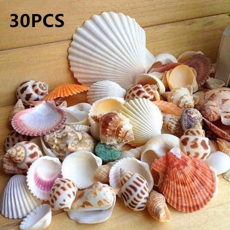 TEMU 30pcs-bag Mix Aquarium Beach Nautical Diy Shells Mixed Bulk Sea Shell