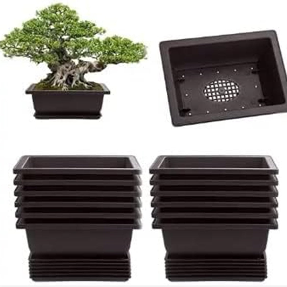 TEMU 8 Inch Bonsai Pots And Drip Trays - Bonsai Pots, Small Bonsai Pots Ships From Iowa, Usa - Great For A Small , Desktop Or Apartment Plant
