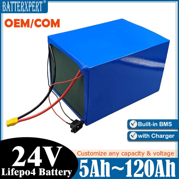5Ah 6Ah 10Ah 15Ah 18Ah 20Ah Lifepo4 24V 30Ah 40Ah 50Ah 60Ah 120Ah Lithium Battery with BMS for Scooter Bike Golf Carts Go Cart Inverter Sola