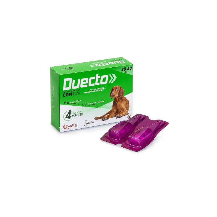 Alfamed sa Duecto Spot-on 4 pipetter - Stora 20-40 kg