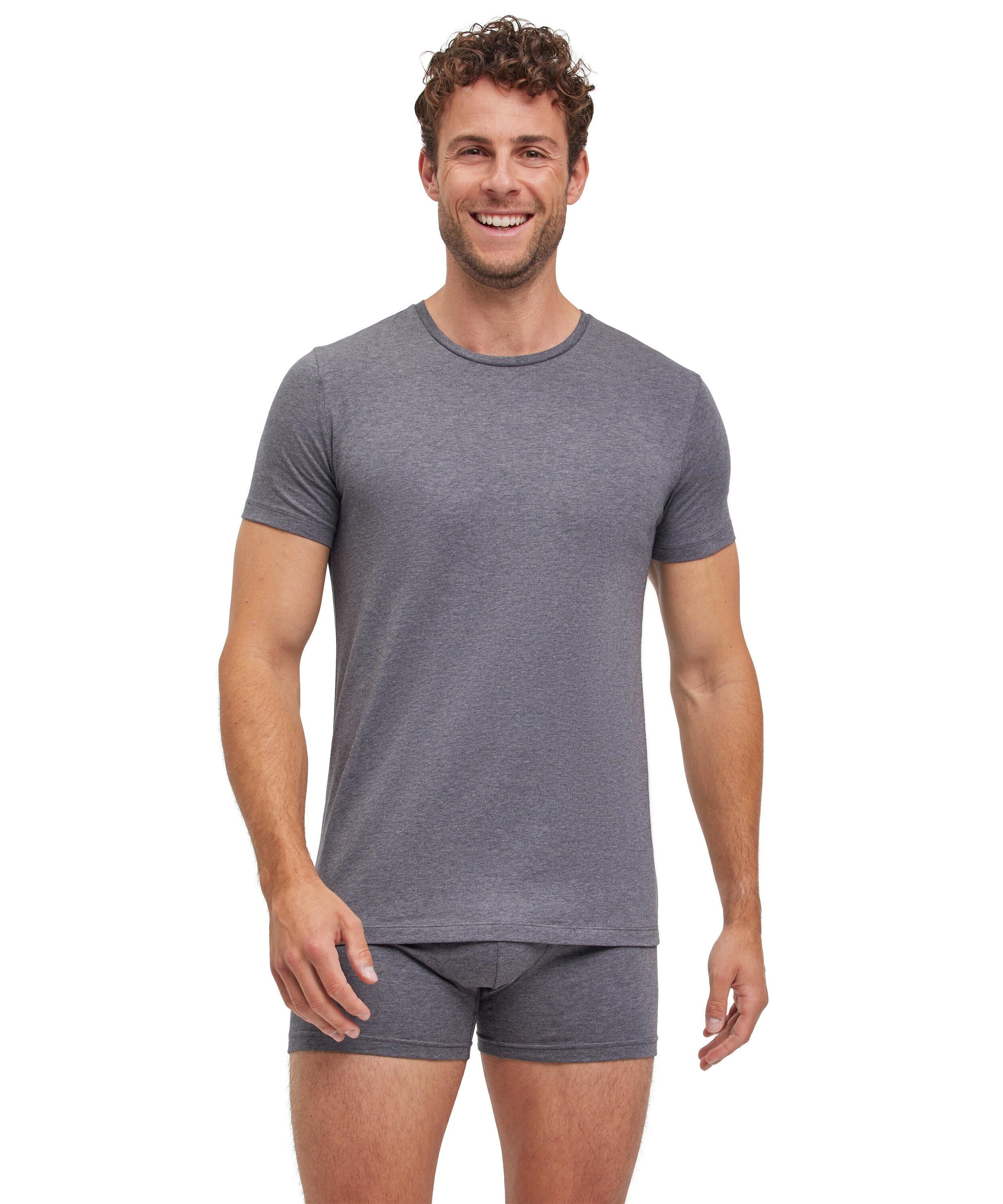 FALKE 2-Pack Men T-Shirt Daily Comfort, M, Grey, Blockcolour, Cotton