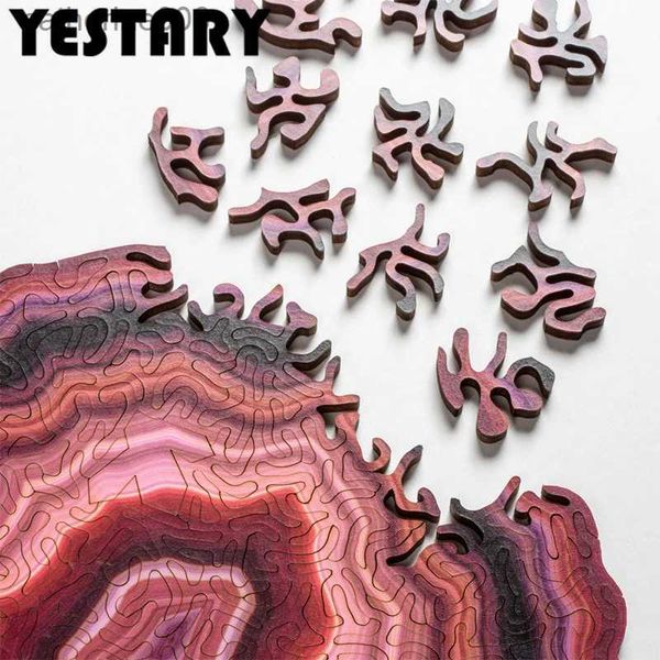 Puzzles Agate 3D Wooden Puzzle Toys Board Games Brain Teaser Irregular Shape Brain Burn Wood Jigsaw Puzzle Toys For Adults Children GiftL231