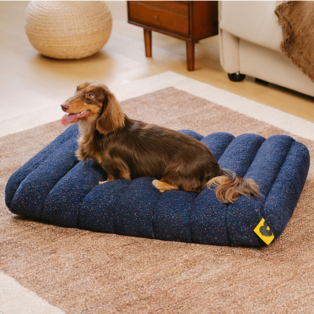 Large Washable Creamy Cozy Flat Dog Beds - Cheesecake, Blue - L