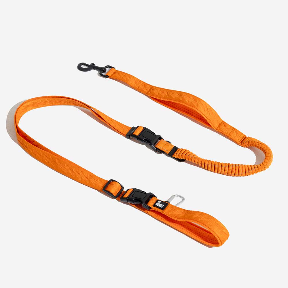 Dual-sided Reflective Adjustable Versatile Soft Handle Nylon Large Dog Leashes - Flexi Walker, Orange