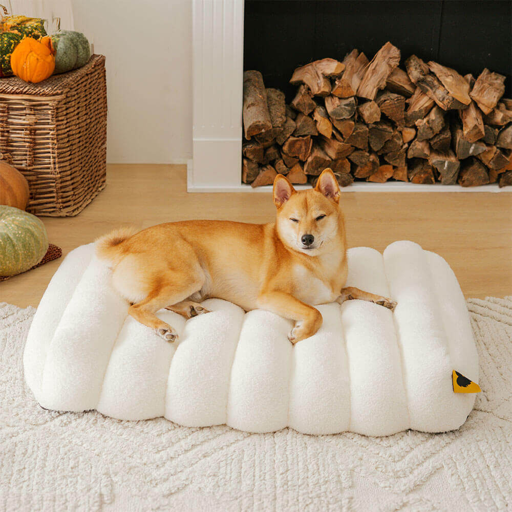 Large Washable Creamy Cozy Flat Dog Beds - Cheesecake, White - M