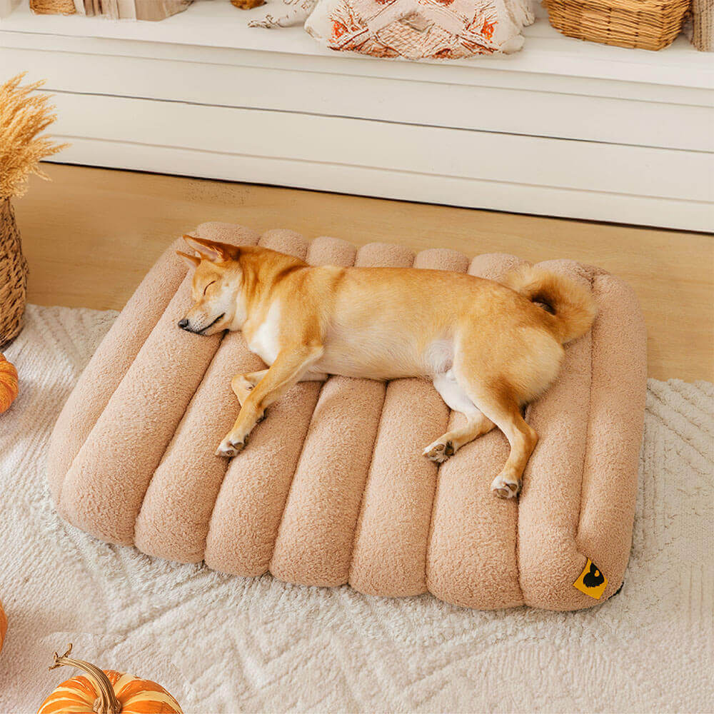 Large Washable Creamy Cozy Flat Dog Beds - Cheesecake, Brown - XL