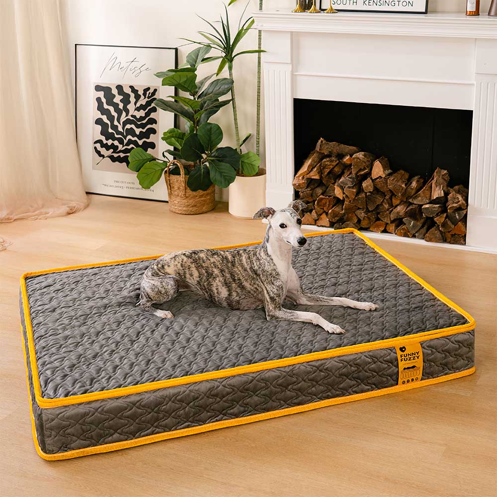 Hooman Innerspring Coils Orthopedic Human Dog Bed - Everdream, Grey - M