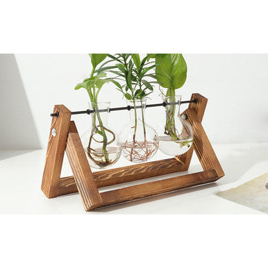 Glass Planter Bulb Plant Terrarium
