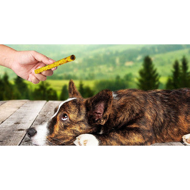 12-Inch Crunchy Beef Rolls Dog Treats (3 to 12-Count) - 12" Beef Crunchy Rolls Dog Treats,3 Ct