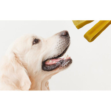 The Treat Shack Himalayan Yak Cheeses Dog Chew Treats, 5-6" (0.5 to 1-Pound) - Large 5-6" Yak Cheese Dog Treats, 1LB