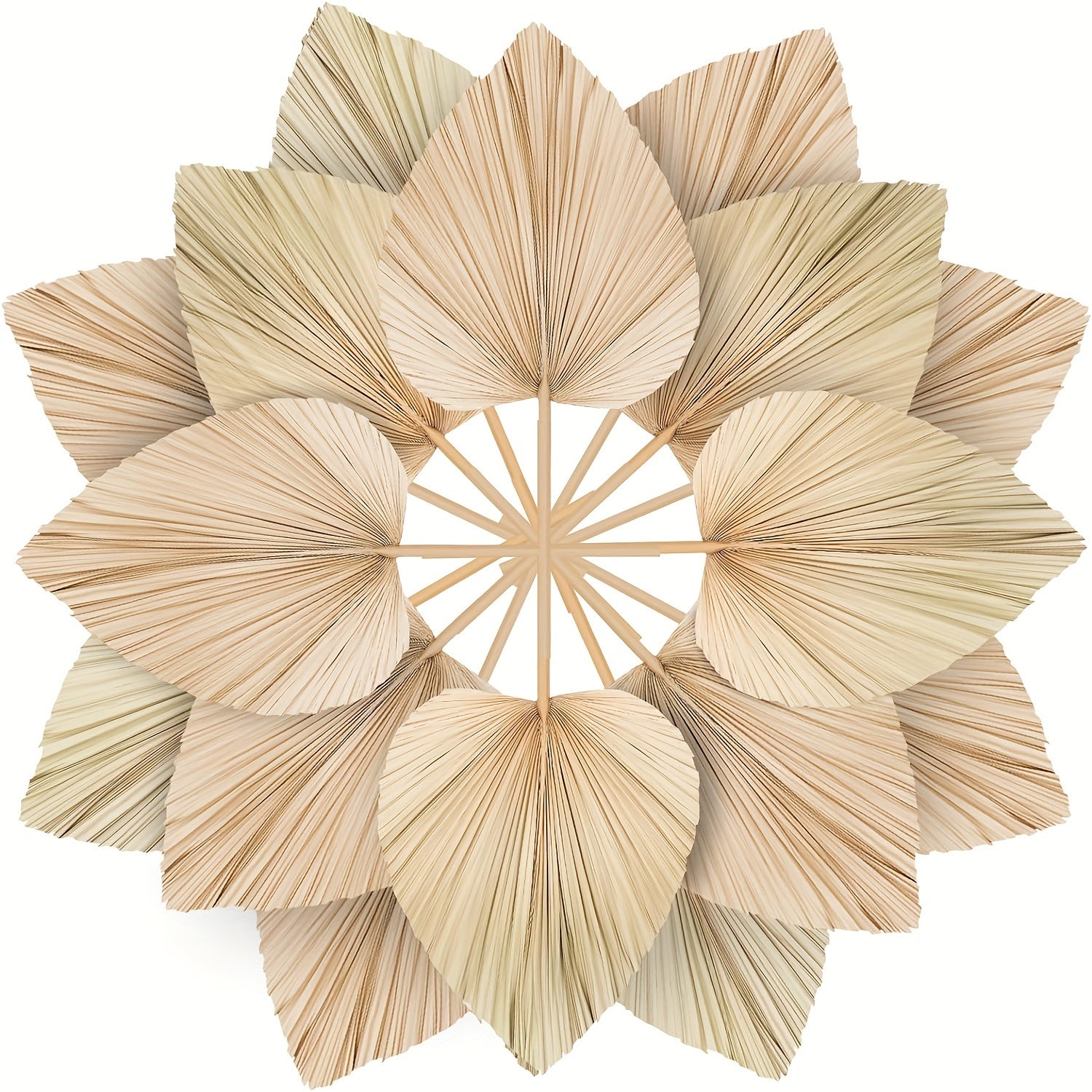 TEMU Dried Palm Leaves 10pcs 17.3' Natural Dried Palm Large Dried Dried Flower Bouquet For Boho Wedding Home Party Kitchen Vase Farmhouse Table