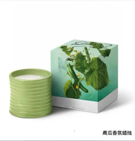 Spain Scented Candles Pottery Jar Top Quality Fragrance Candle ivy Aromatherapy Gift Box Home Decoration Christmas Gift X2412194