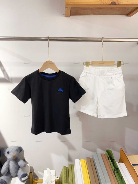 baby T-shirt set Summer tracksuits boys girls Short sleeved suit kids designer clothes Embroidered horse pattern tshirt and shorts