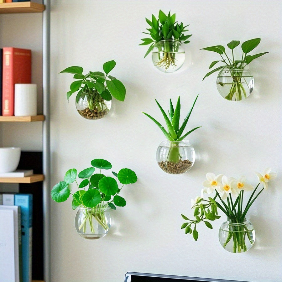 TEMU Wall Mounted Hydroponic Vase- Plants Propagation Station- Glass Planter Vase, Transparent Wall Planters For Indoor Plants, Hanging Glass Air