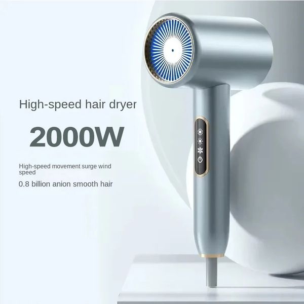 2000W Hair Dryer Professional Negative Ion Low Noise Blow Dryer Electric High Speed Powerful Adjustable Salon Household Dryer 240624