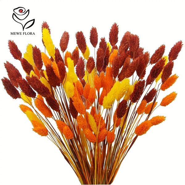 60 pieces of natural dried flower jewelry grass bundles Bohemian home vase decoration preserved flowers Phalaris wedding Christmas decoratio