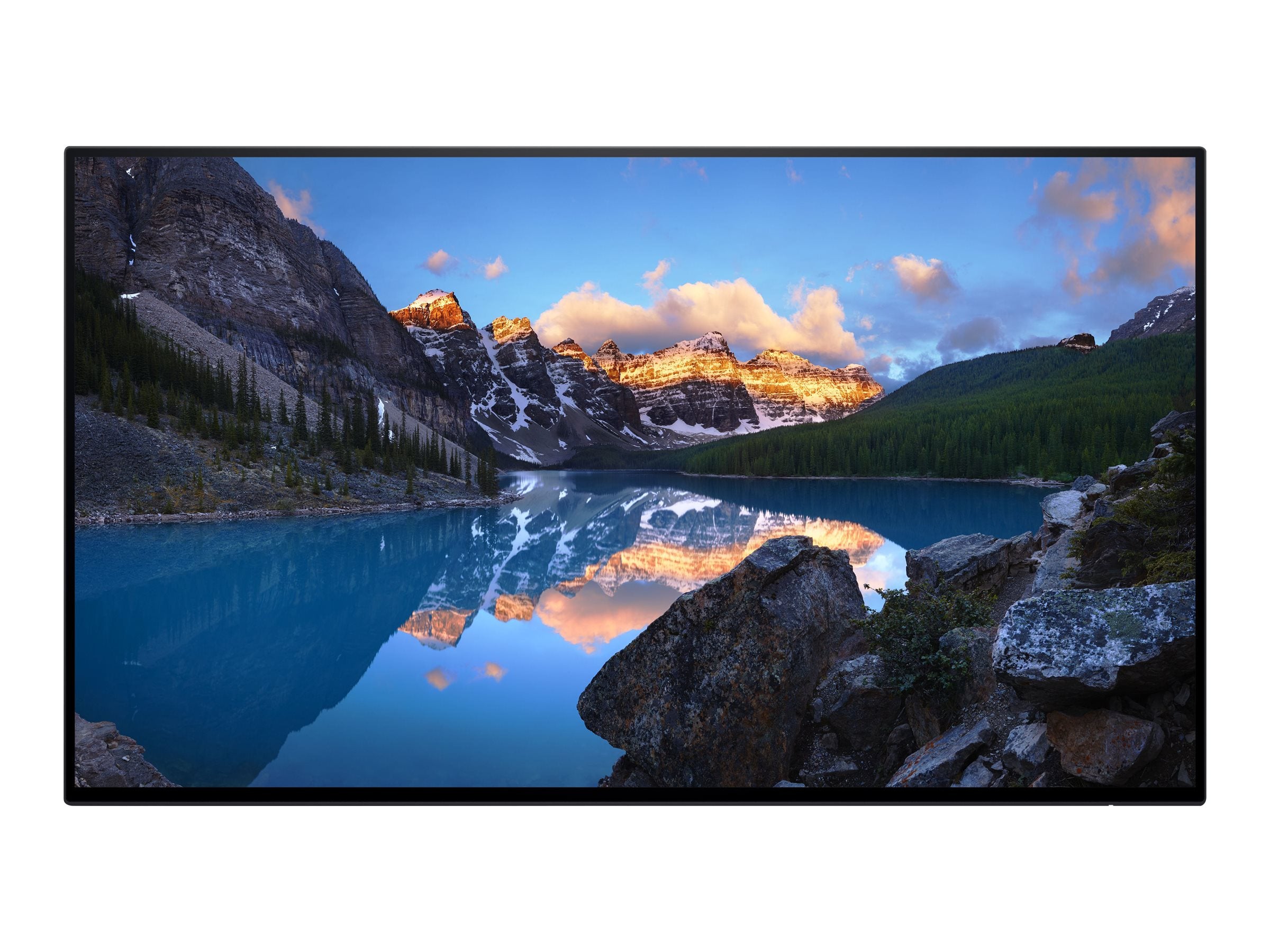 Dell UltraSharp U2422H - without stand - LED monitor - Full HD (1080p) - 24"