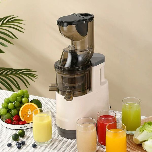 Houselin 7 inch Cold Press Juicer Masticating Juicers Machine for Vegetables and Fruits 250113