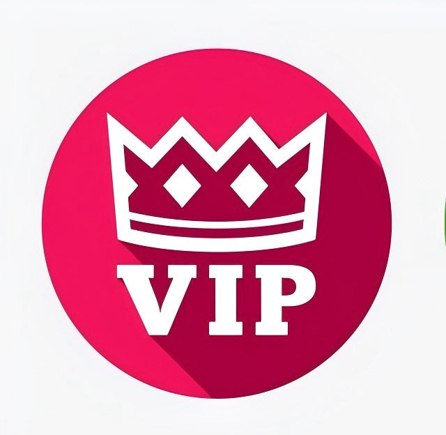 10A Mirror Quality More style bag shoe belt consultation and purchase payment link VV3