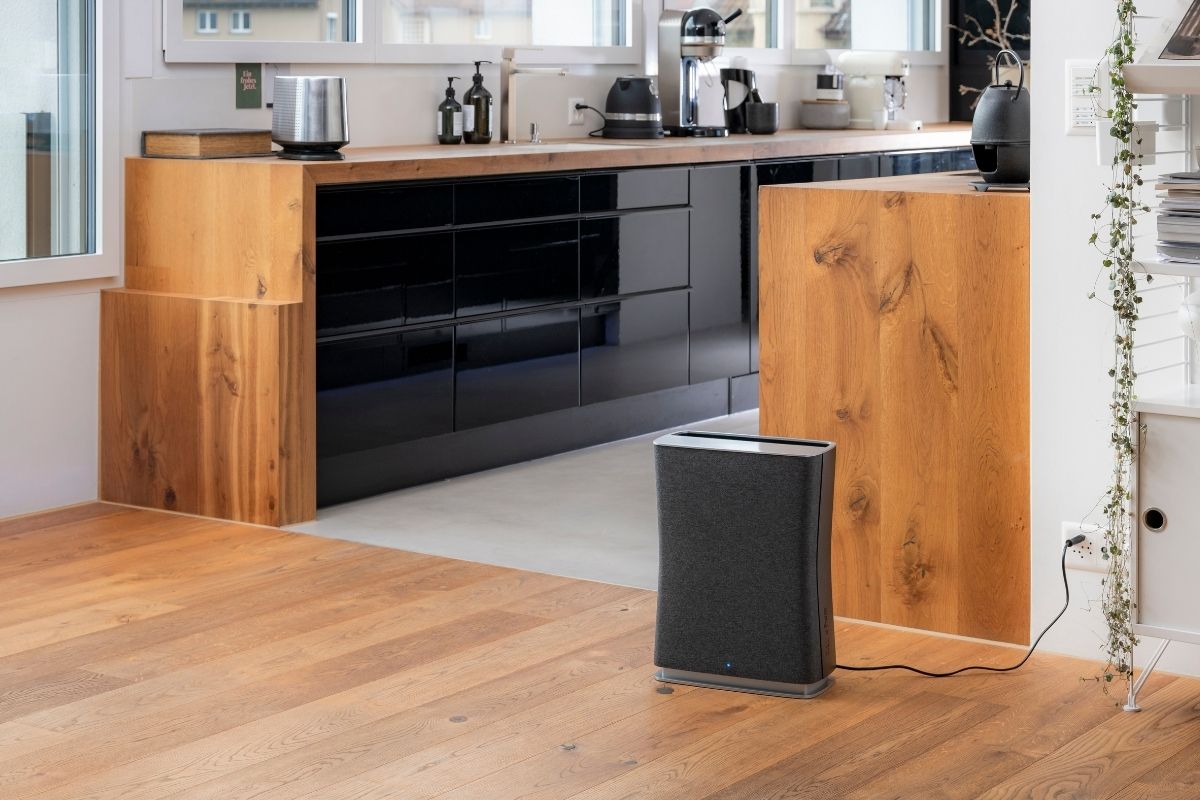 Stadler Form Roger Little Air Purifier Black