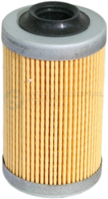 Oil Filter Professional Parts 22346310