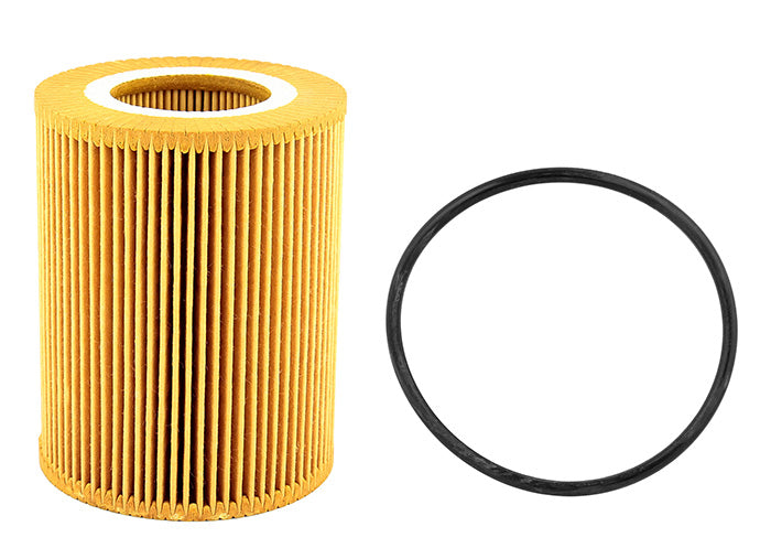 Oil Filter Professional Parts 22430013