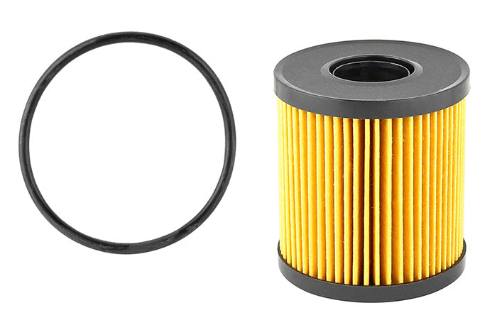 Oil Filter Professional Parts 22430798