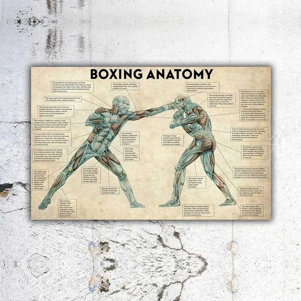 Boxing Anatomy Vintage Canvas Paintings on the Wall Art Boxing Posters and Prints Boxing Inspiring Pictures Home Decor Cuadros Y240808