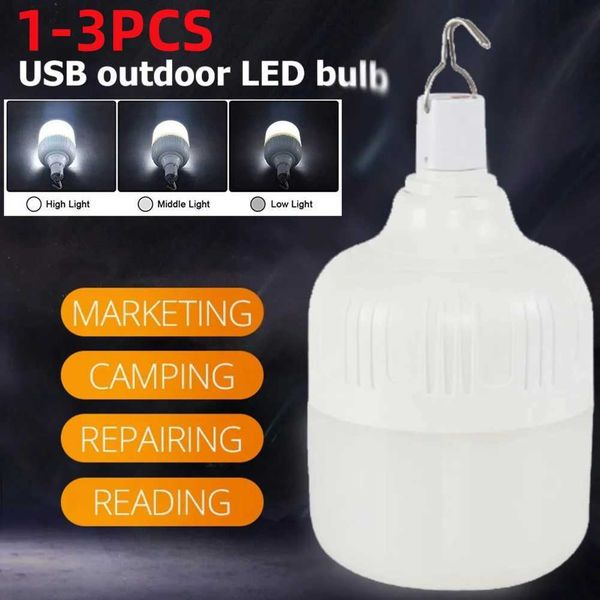 1-3Pcs Portable Outdoor Camping Light USB Rechargeable LED Emergency Lamp Energy-Efficient Garden Decoration Lamp EquipmentT250122