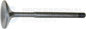 Intake Valve Professional Parts 23437793