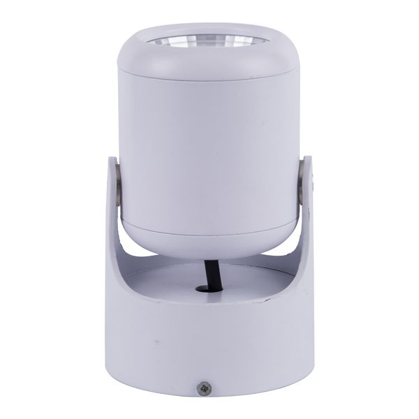 Black white 7W 12W LED Spotlights Mini led ceiling Down lighting AC85-265V white spot light bulb for cabinet counter showcase