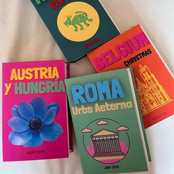 Pink Rose Morandi Minimalist Home Decoration Fake Books Cocktail Fake Book Cover Storage Box Decorative Table Club Bar Decor M240903