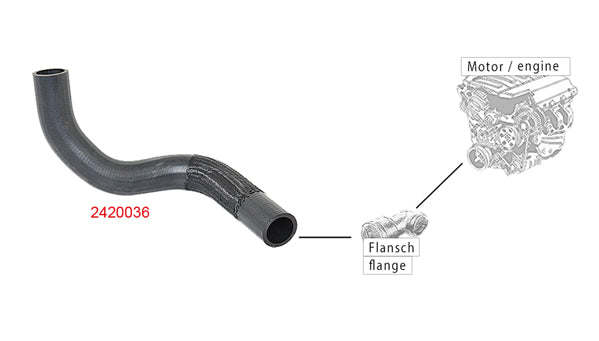 Radiator Hose METZGER 2420036