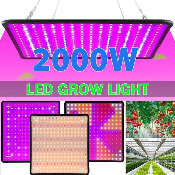 LED Plant Grow Light 1000W-2000W Full Spectrum Hydroponic Growing Lamp Plants Phyto Veg Flower Indoor Panel Phytolamp Y240816