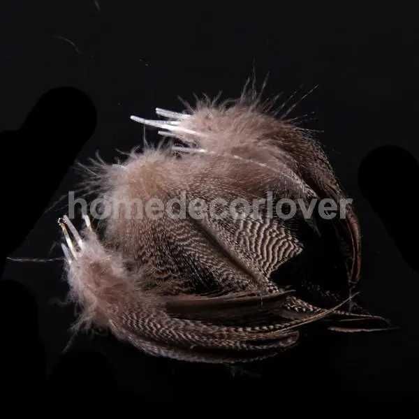 Feathers 20 pieces of natural wild grass feather wedding decoration DIY craft face mask hat matching props Q240928