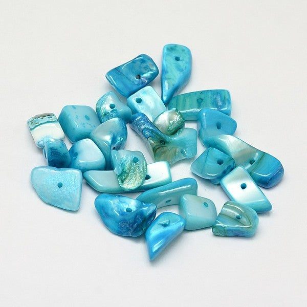 Dyed Natural Freshwater Shell Nuggets Chips Beads