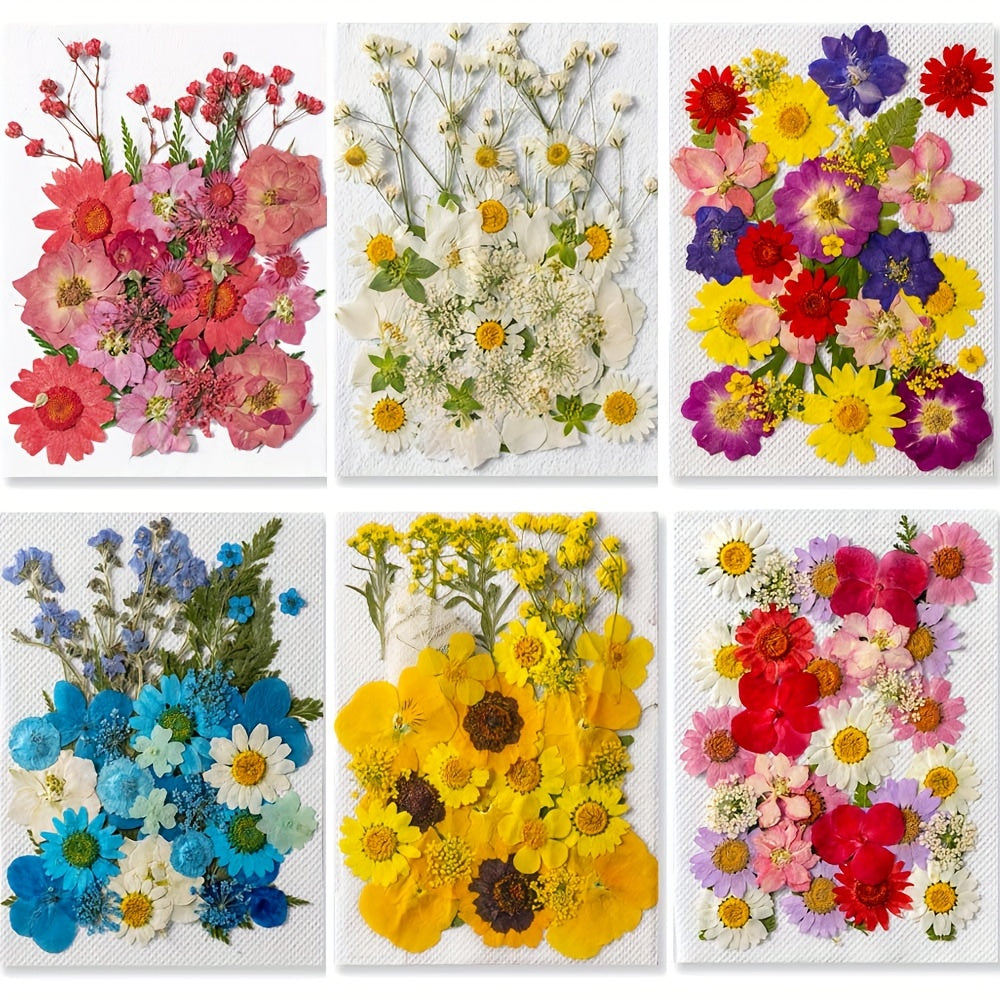 TEMU 200pcs Vibrant Dried Flowers And Leaves Set - Nature-inspired Decoration Kit For Artistic Scrapbooking, Resin , Elegant Bookmarks & Diy Crafts,