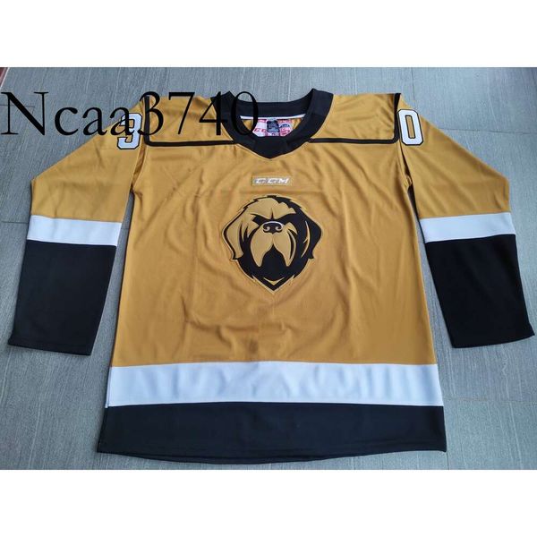 N374 Hockey jerseys Physical photos Newfoundland Growlers New Third FOBIAN Men Youth Women High School Size S-6XL or any name and number jer