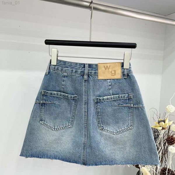 Designer Womens Skirts Luxury Woman Short Skirt A Pants -12 High Waist Mini Skirt 2024 Summer New Fashion DJD2407308