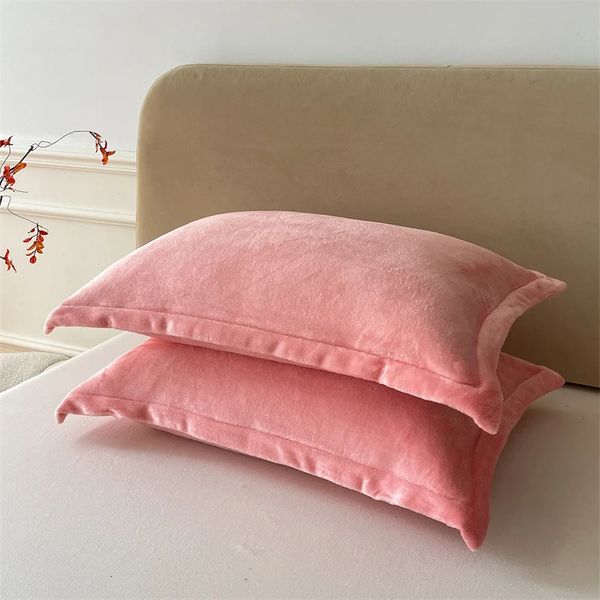 2pcs-set 48x74cm Pure Color Velvet Pillow Cases Soft Flannel Comfortable Pillowcase Sleeping Pillow Cover with Zipper 250103
