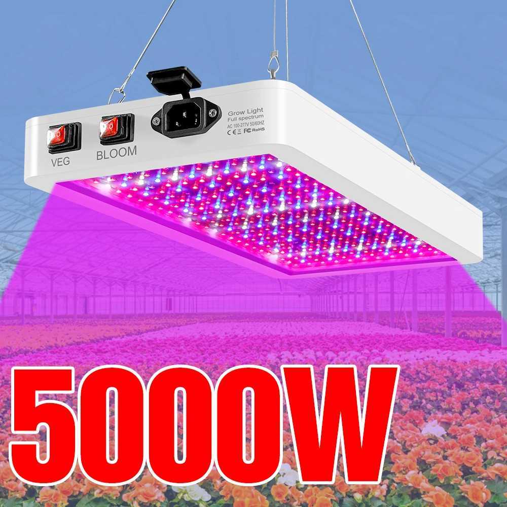 5000W Quantum Board LED Grow Light Phyto Lamp Full Spectrum LED Plants Bulb Indoor 4000W Phytolamp For Flower Seedling Fitolamp Y240816