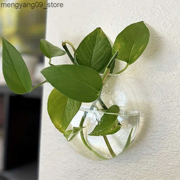 Vases Wall Hanging Hydroponic Terrarium Plant Flower Pot Transparent Semi-circular Glass Vase Potted Home Garden Office Decoration J241210