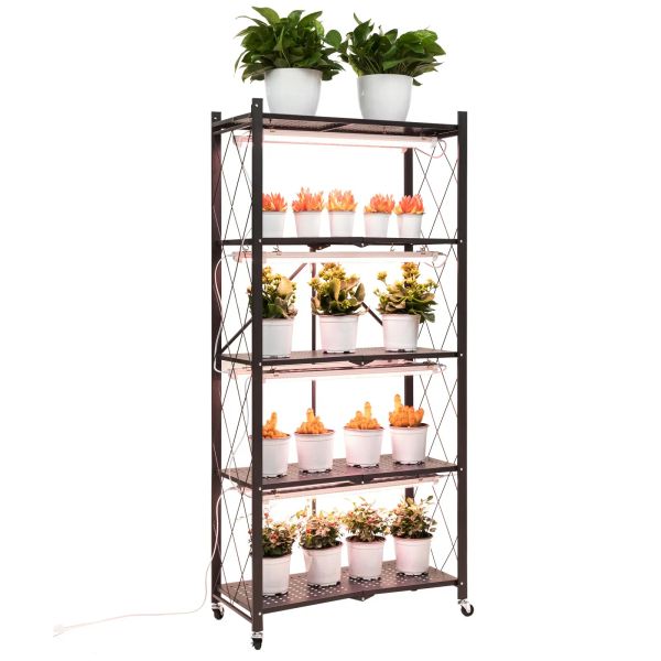Plant Shelf with Grow Lights for Indoor Plants Seed Starting, No Assembly Tall Large 5-Tier Metal Plant Stand LL