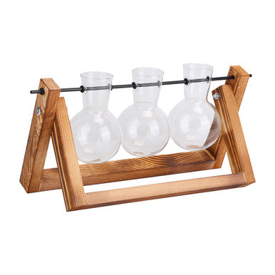 Glass Planter Bulb Plant Terrarium