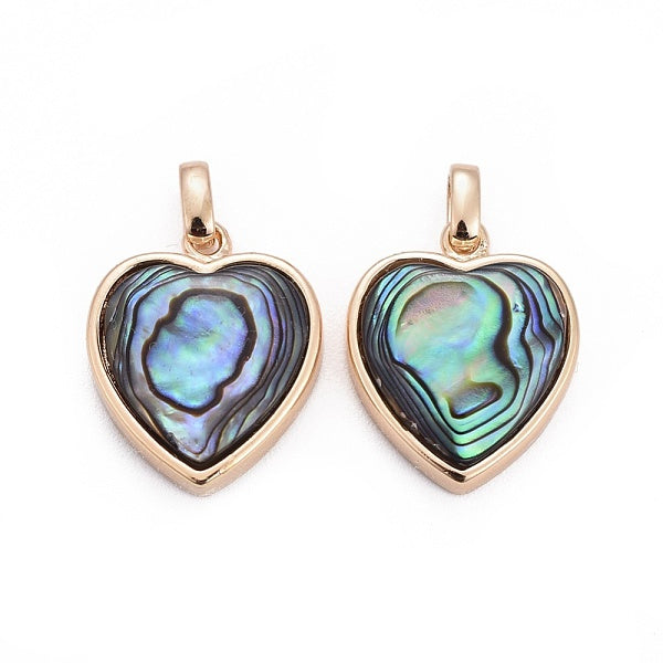 Shell abalone naturale - shellcharms paua
