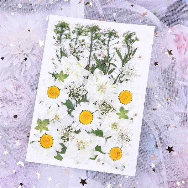 Mini Dried Flower Material Natural Fresh Dried Preserved Flowers Dried Flowers Bouquet for Scrapbooking Wedding Party He DecorT250122