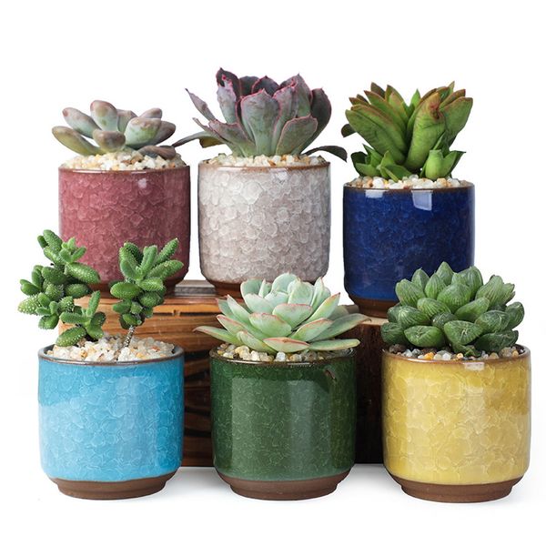Planters Pots Ice Cracked Ceramic Flower Pot Colorful Cute Flowerpot for Desktop Decoration Meaty Potted Plants Mini Planters Pot Ted pot te