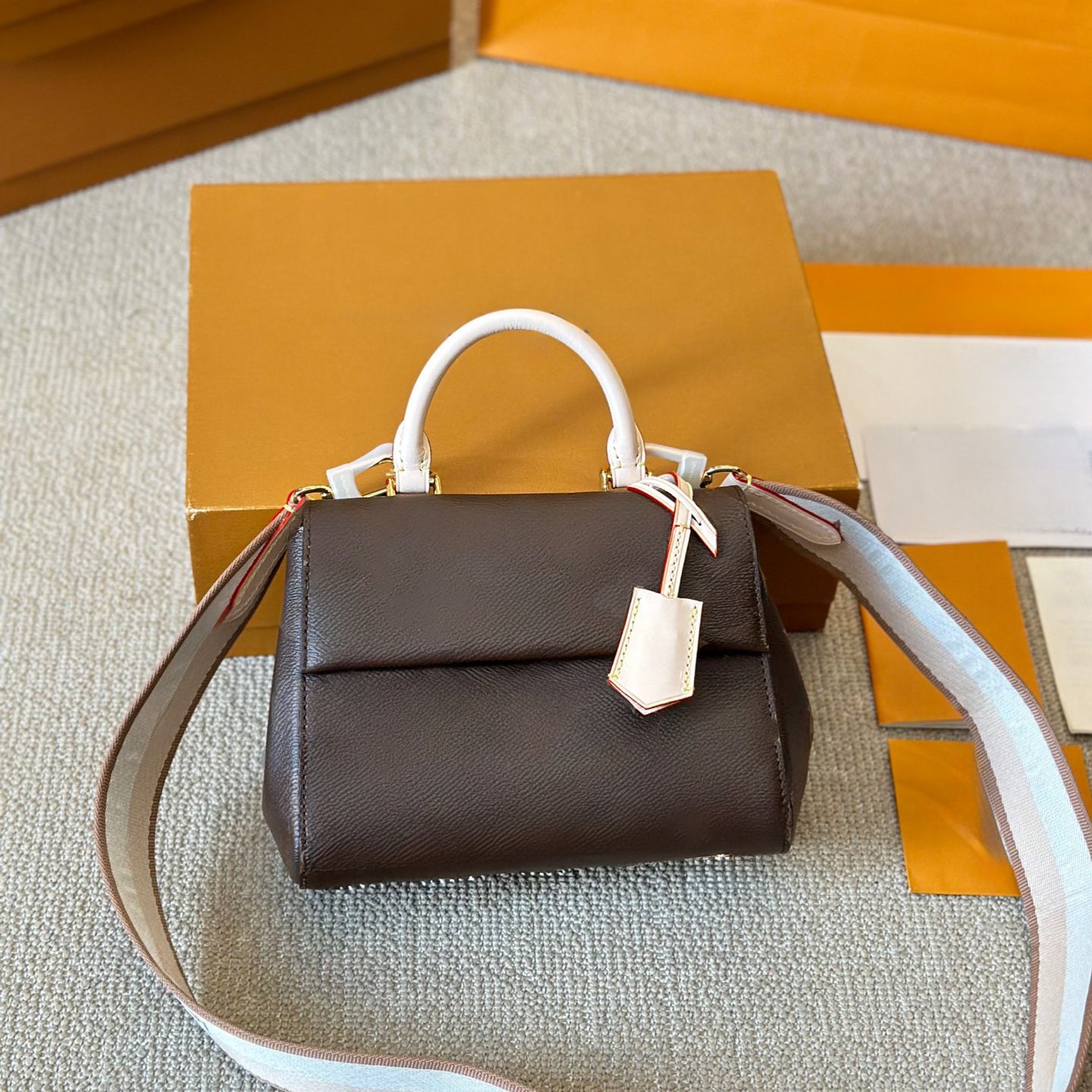 Designer Handbag Women Flap Shoulder Bag Leather Crossbody Bag Cluny Mini Series M46055 Width 20cm