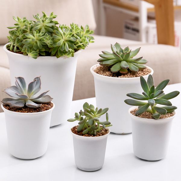 Garden Nursery Plastic Flower Bonsai Pots Round Thicken Succulent Plants Flowerpots Garden Planting Cutting Seedlings Planter Pot Plastic Bl